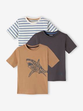 eco-friendly-fashion-Pack of 3 Assorted T-Shirts for Boys