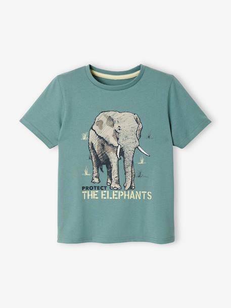 Tee-shirt bio motif animal garçon manches courtes ivoire+sauge - vertbaudet enfant 