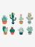 Stickers Cactus vert / multicolore - vertbaudet enfant 
