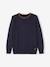 Pull couleur Basics personnalisable garçon encre - vertbaudet enfant 