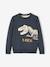 Pull jacquard motif ludique garçon MARINE - vertbaudet enfant 