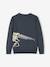 Pull jacquard motif ludique garçon MARINE - vertbaudet enfant 