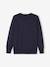 Pull couleur Basics personnalisable garçon encre - vertbaudet enfant 