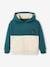 Sports Hoodie with Colourblock Effect, for Boys BLUE DARK SOLID WITH DESIGN - vertbaudet enfant 