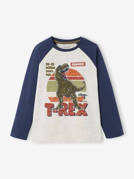 Top with Graphic Motif & Raglan Sleeves for Boys BLUE MEDIUM SOLID WITH DESIGN+BROWN MEDIUM SOLID WITH DESIGN+fir green+marl grey - vertbaudet enfant 