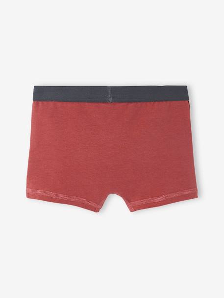 Mens Designer Underwear Boxer Briefs, Red