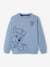 Paw Patrol® Sweatshirt for Boys BLUE LIGHT SOLID WITH DESIGN - vertbaudet enfant 