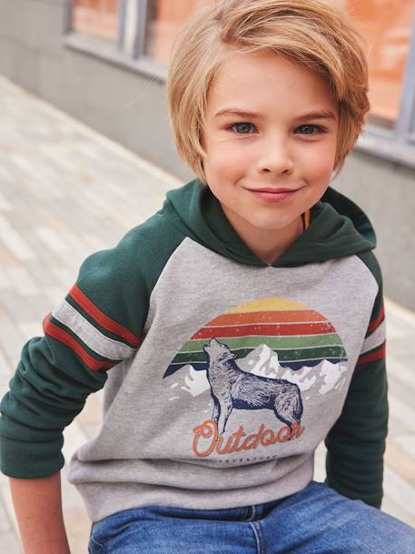 Hoodie with Graphic Motif & Raglan Sleeves for Boys BLUE MEDIUM SOLID WITH DESIGN+GREEN DARK SOLID WITH DESIGN - vertbaudet enfant 