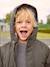 Parka garçon 3 en 1 blouson amovible kaki+lichen+Marine grisé+noix de pécan - vertbaudet enfant 