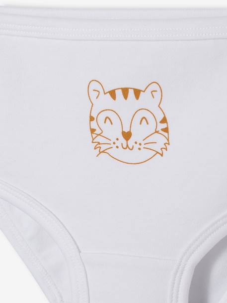 Pack of 5 Nappy Cover Briefs in Pure Cotton, for Babies WHITE LIGHT TWO COLOR/MULTICOL - vertbaudet enfant 