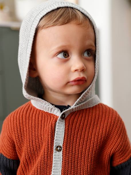 Gilet en tricot bébé avec capuche rouille - vertbaudet enfant 