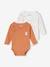 Pack of 2 Long Sleeve Bodysuits, Full-Length Opening, for Babies BROWN MEDIUM 2 COLOR/MULTICOL - vertbaudet enfant 
