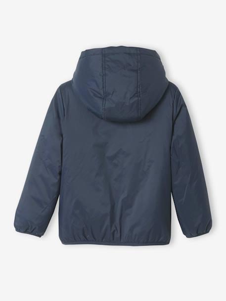 Parka garçon 3 en 1 blouson amovible kaki+lichen+Marine grisé+noix de pécan - vertbaudet enfant 