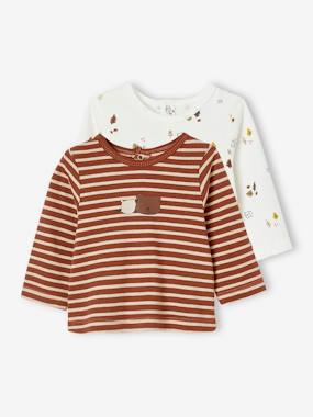 Baby-T-shirts & Roll Neck T-Shirts-T-shirts-Pack of 2 Long Sleeve Tops, for Babies