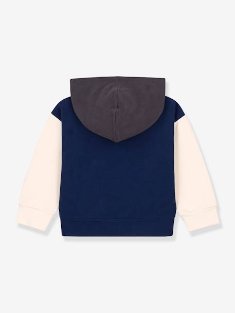 Hooded Sweatshirt in Organic Cotton Fleece, for Children, by Petit Bateau blue - vertbaudet enfant 