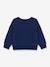 Sweatshirt in Organic Cotton Fleece for Children, by Petit Bateau blue - vertbaudet enfant 