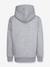 Sweat hoodie gris+marine+rouge - vertbaudet enfant 