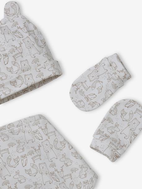 Beanie + Mittens + Scarf + Pouch in Printed Jersey Knit, for Babies taupe - vertbaudet enfant 