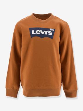 -Batwing Crewneck Sweatshirt for Boys, by Levi's®