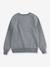 Batwing Crewneck Sweatshirt for Boys, by Levi's® grey+navy blue - vertbaudet enfant 