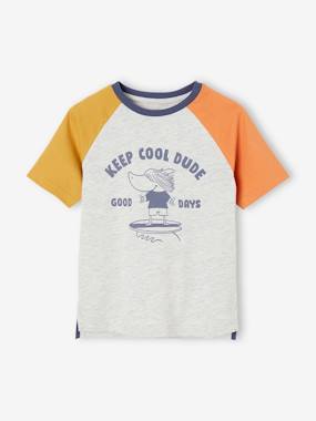 Tee-shirt motif ludique requin surfeur garçon  - vertbaudet enfant