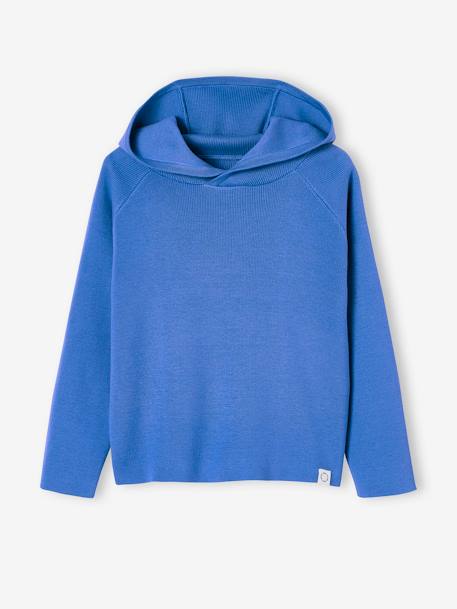 Hooded Jumper for Boys blue+navy blue - vertbaudet enfant 