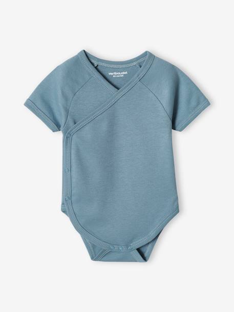 Pack of 5 Bodysuits for Newborn Babies, Front Opening sky blue - vertbaudet enfant 