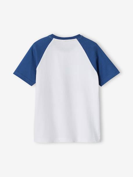 Tee-shirt motif graphique garçon manches raglan bleu+vert sauge - vertbaudet enfant 