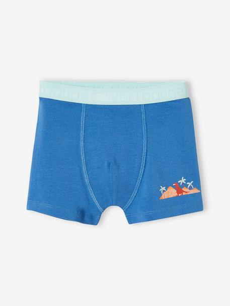 Pack of 5 Stretch Boxer Shorts, Tropical Dino, for Boys slate blue - vertbaudet enfant 