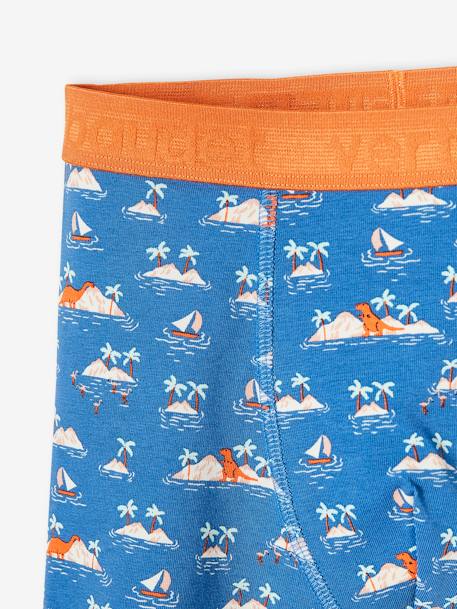 Pack of 5 Stretch Boxer Shorts, Tropical Dino, for Boys slate blue - vertbaudet enfant 
