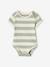 Pack of 5 'Beach' Bodysuits with Cutaway Shoulders for Babies aqua green - vertbaudet enfant 