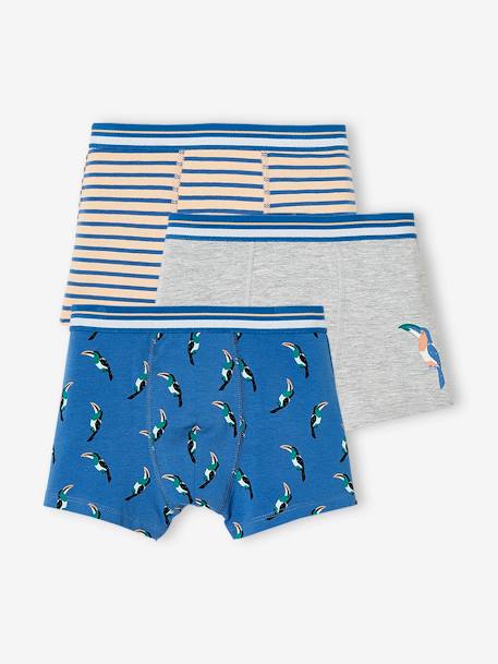 Pack of 3 Stretch Boxer Shorts, Toucans, for Boys electric blue - vertbaudet enfant 