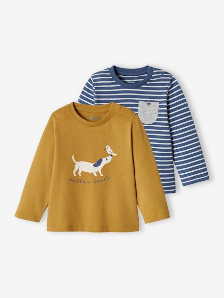 Lot de 2 T-shirts basics bébé motif animal et rayé bleu grisé+bronze+écru - vertbaudet enfant 