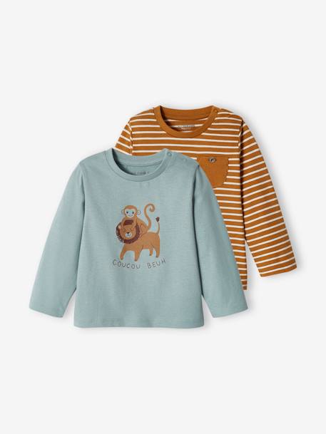 Pack of 2 Basic Tops With Animal Motif & Stripes for Babies bronze+grey blue - vertbaudet enfant 