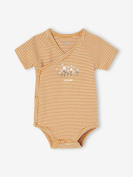 Pack of 3 Short Sleeve Bodysuits for Newborn Babies lilac - vertbaudet enfant 