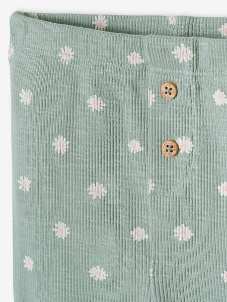 Plain Rib Knit Leggings for Babies printed beige+sage green - vertbaudet enfant 