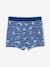 Swim Boxers with Tropical Print for Boys striped navy blue - vertbaudet enfant 