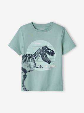 T-Shirt with Large Dinosaur, for Boys  - vertbaudet enfant