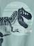 T-shirt garçon motif dinosaure géant menthe - vertbaudet enfant 