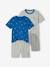 Pack of 2 'Toucan' Pyjama Sets for Boys electric blue - vertbaudet enfant 