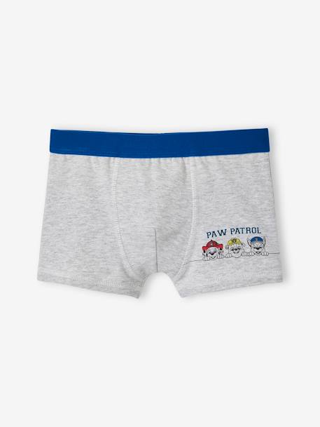 enorm software Logisk Pack of 3 Paw Patrol® Boxers for Boys - electric blue, Boys