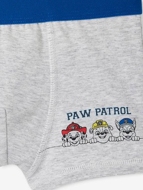 Pack of 3 Paw Patrol® Boxers for Boys electric blue - vertbaudet enfant 
