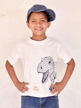 T-Shirt with 3D-Effect Motif, for Boys  - vertbaudet enfant