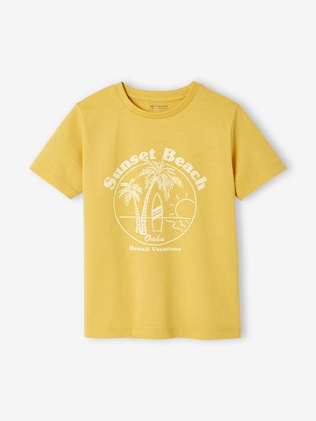 Lot de 3 T-shirts Basics garçon manches courtes LOT BLEU PAON+lot jaune+lot mastic+lot rouge+lot vert - vertbaudet enfant 