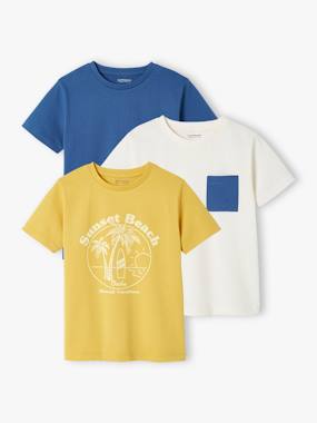 Vertbaudet Basics-Boys-Pack of 3 Assorted T-Shirts for Boys