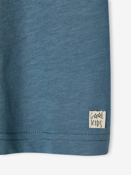 T-shirt garçon personnalisable manches courtes aubergine+blanc+BLEU+jaune pâle+mangue+sauge - vertbaudet enfant 