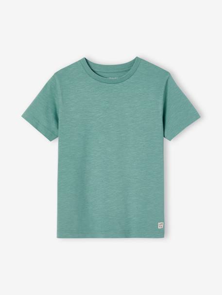 T-shirt garçon personnalisable manches courtes aubergine+blanc+BLEU+jaune pâle+mangue+sauge - vertbaudet enfant 