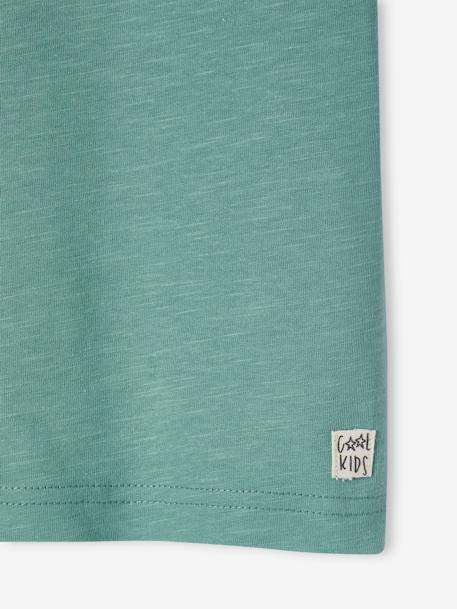 T-shirt garçon personnalisable manches courtes aubergine+blanc+BLEU+jaune pâle+mangue+sauge - vertbaudet enfant 