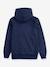 Sweat à capuche Batwing Screenprint LEVI'S bleu - vertbaudet enfant 