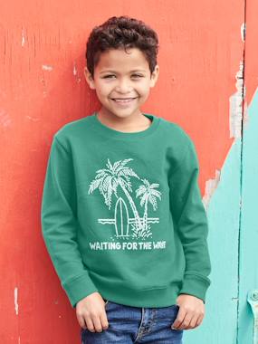 Boys-Cardigans, Jumpers & Sweatshirts-Sweatshirts & Hoodies-Sweatshirt with Round Neckline & Motif, for Boys
